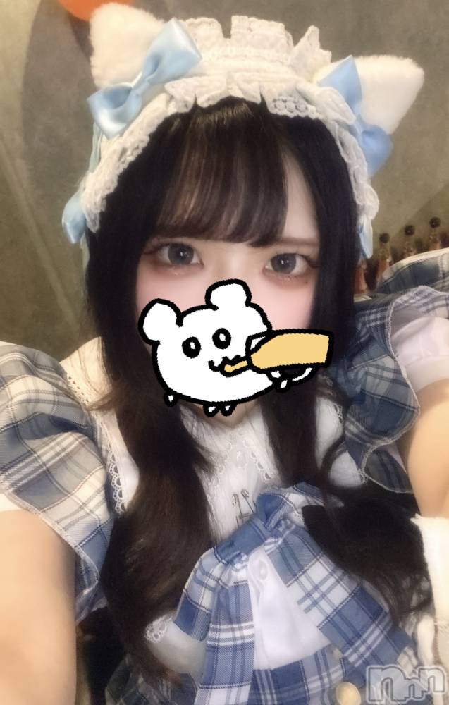 ʥå륺СVeronica-˥-(˥) ʤʤ1031ֹ̥֥ˤʤ롪