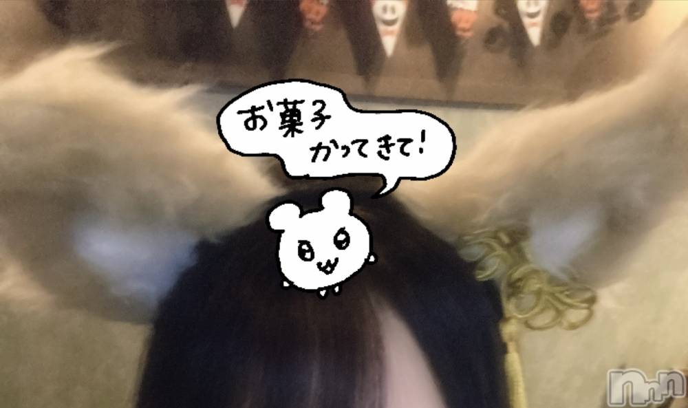 ʥå륺СVeronica-˥-(˥) ʤʤ111̥֥♡₊ 🎀₊✧