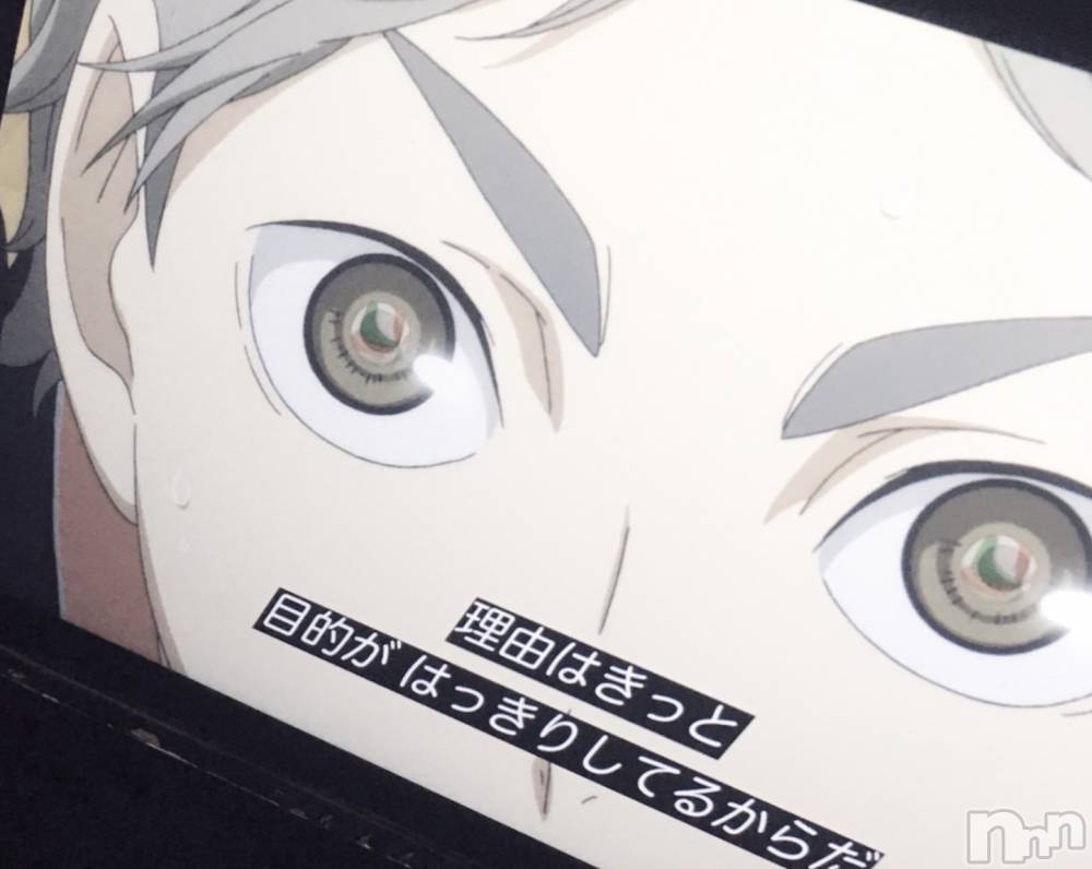 ʥå륺СVeronica-˥-(˥) ʤʤ1121̥֥🩶