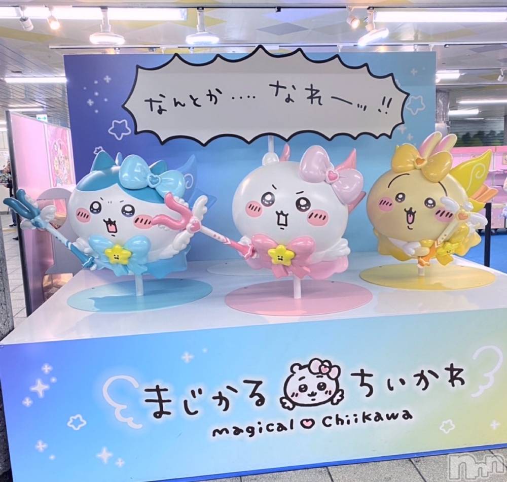 ����������ʥå��������륺�С�Veronica-�������˥�-(�������˥�) �ʤʤ���12��16���̥�֥������󡡶���