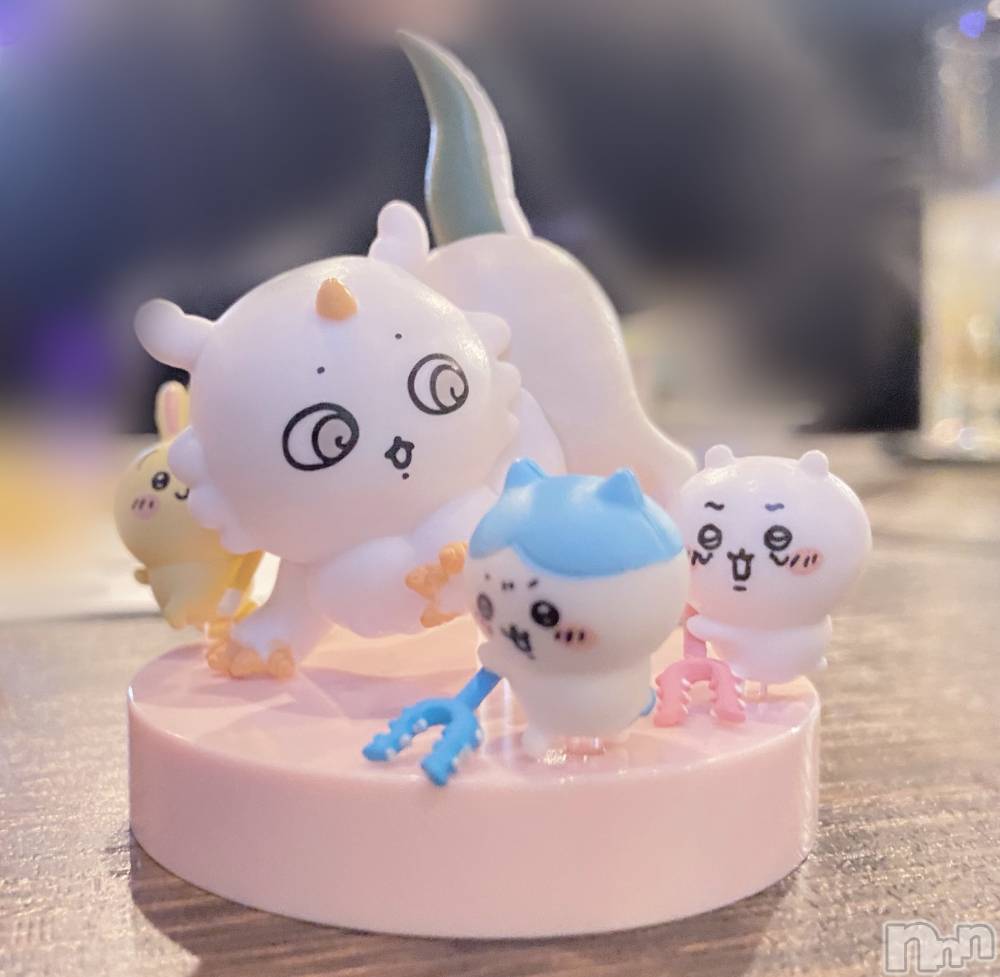 ����������ʥå��������륺�С�Veronica-�������˥�-(�������˥�) �ʤʤ���2��17���̥�֥����������