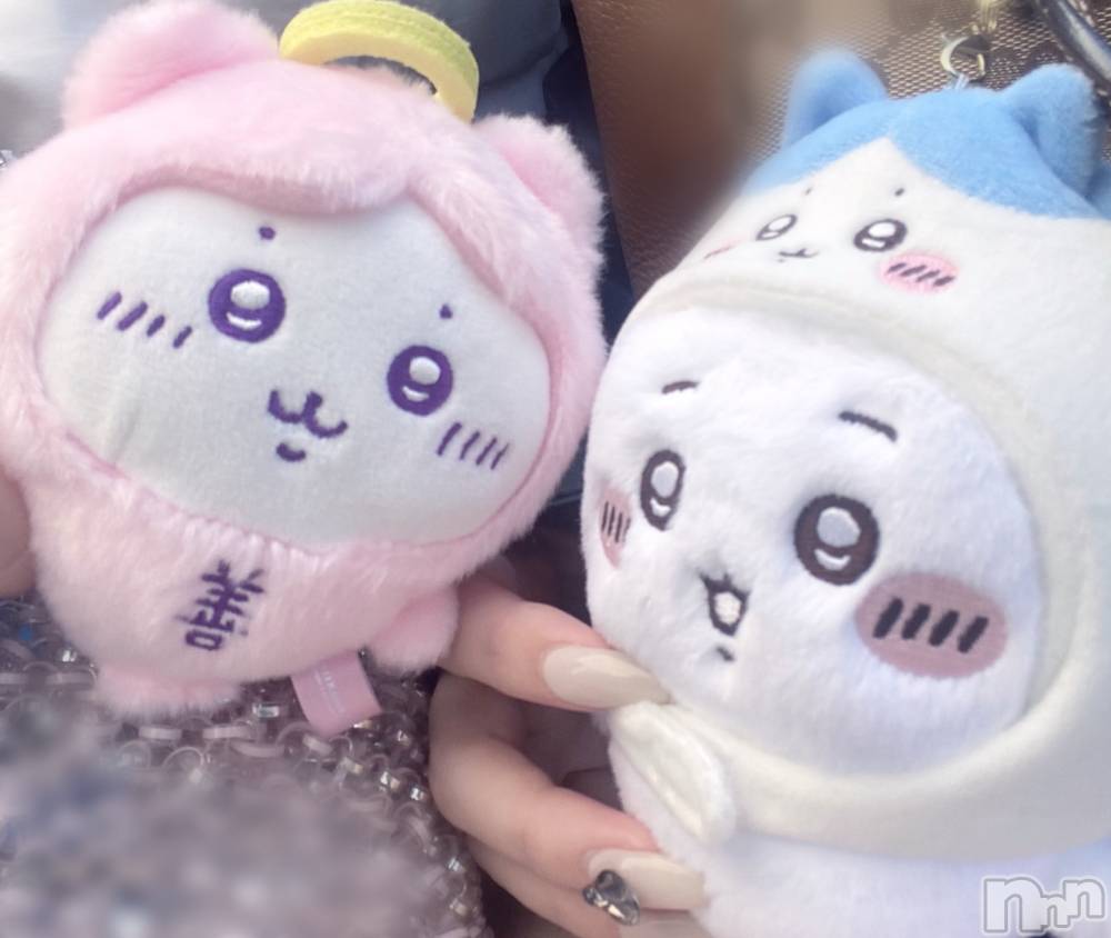 ����������ʥå��������륺�С�Veronica-�������˥�-(�������˥�) �ʤʤ���3��6���̥�֥�����nnnnn��