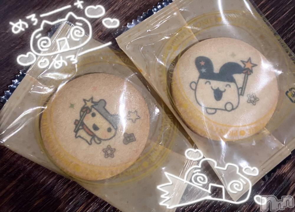 ����������ʥå��������륺�С�Veronica-�������˥�-(�������˥�) �ʤʤ���3��18���̥�֥����֤���魯�����