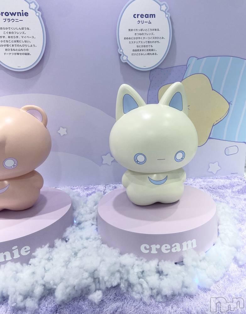 ����������ʥå��������륺�С�Veronica-�������˥�-(�������˥�) �ʤʤ���3��23���̥�֥����֤����餯������