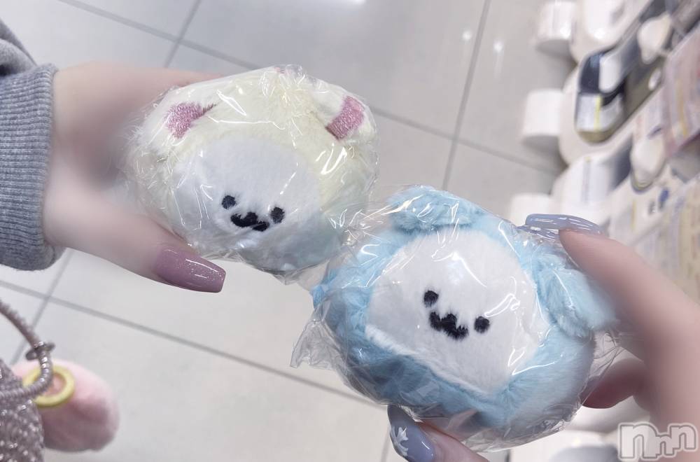 ����������ʥå��������륺�С�Veronica-�������˥�-(�������˥�) �ʤʤ���4��11���̥�֥����֥��ꥮ���