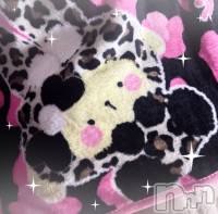 ʥå륺СVeronica-˥-(˥) ʤʤ1214̥֥ᓓ̸ᐠƖ Ɩ š