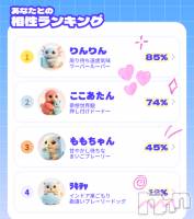 ����������ʥå��������륺�С�Veronica-�������˥�-(�������˥�) �ʤʤ���4��6���̥�֥����������ǰ�����