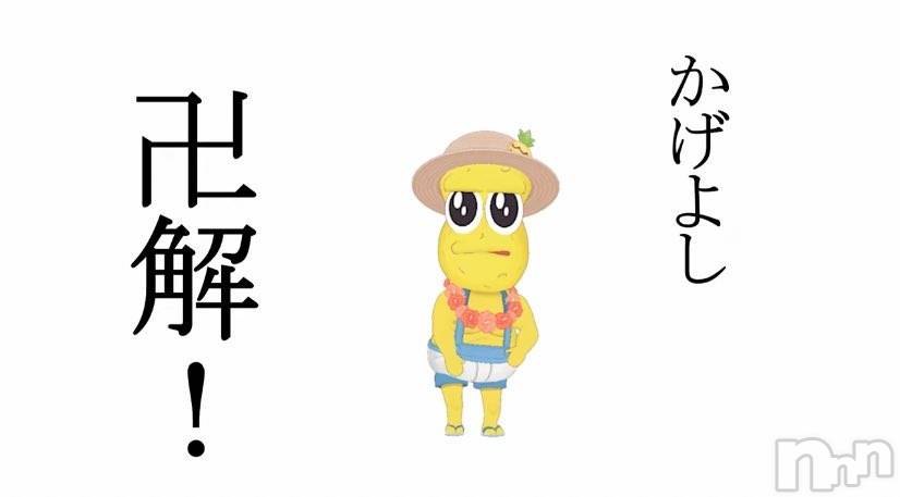 ʥå륺СVeronica-˥-(˥) 2025ǯ109̥֥🌸🌸
