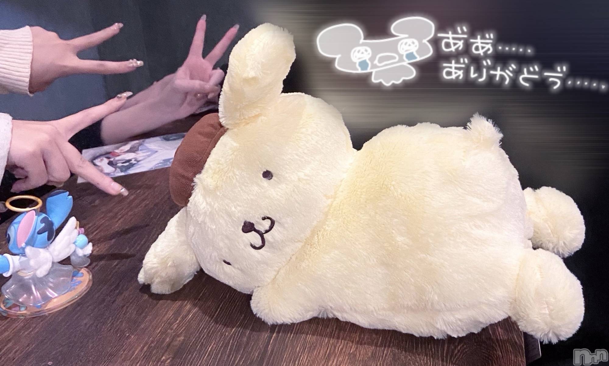 ʥå륺СVeronica-˥-(˥) 2025ǯ112̥֥