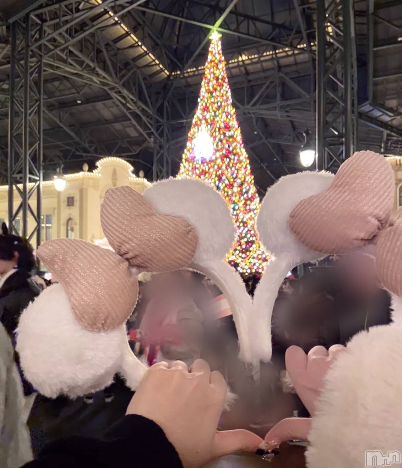 ʥå륺СVeronica-˥-(˥) 2025ǯ1211̥֥🎅🤍