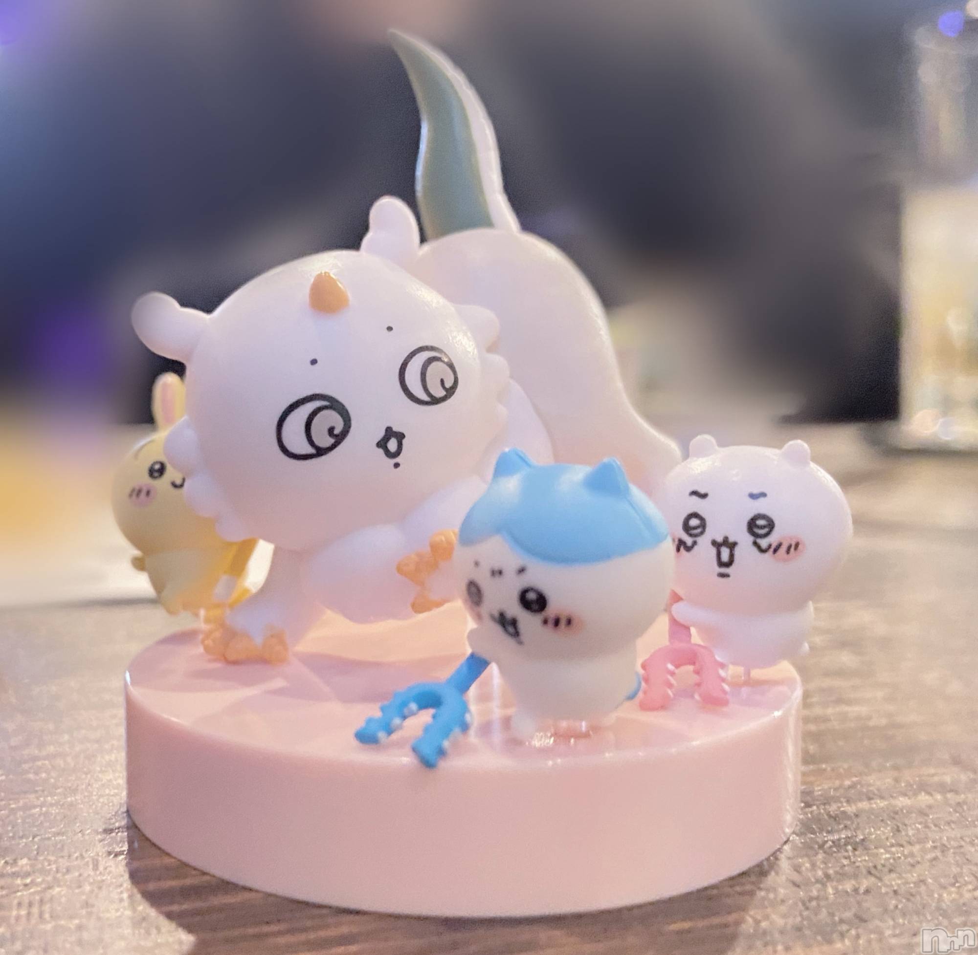 ����������ʥå��������륺�С�Veronica-�������˥�-(�������˥�) ��2026ǯ2��17���̥�֥����������