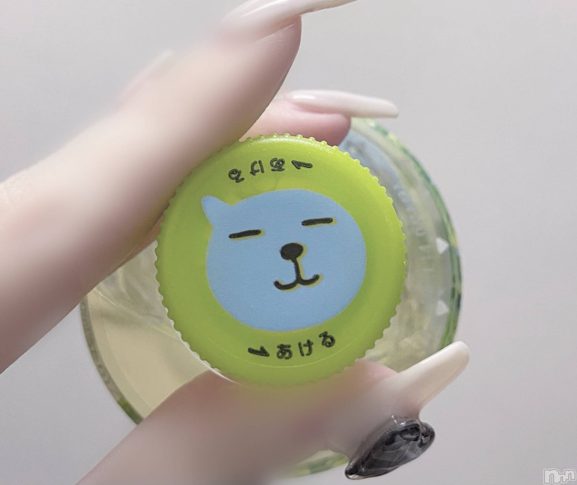 ����������ʥå��������륺�С�Veronica-�������˥�-(�������˥�) ��2026ǯ3��13���̥�֥����֤ࡼ���