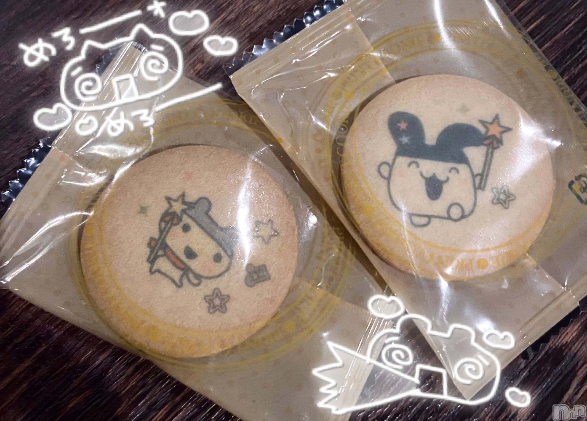 ����������ʥå��������륺�С�Veronica-�������˥�-(�������˥�) ��2026ǯ3��18���̥�֥����֤���魯�����