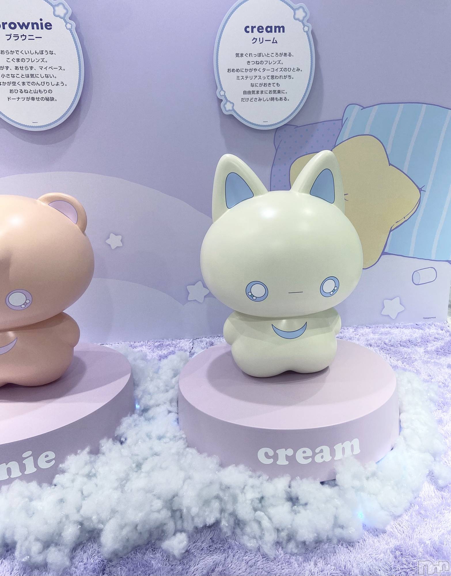 ����������ʥå��������륺�С�Veronica-�������˥�-(�������˥�) ��2026ǯ3��23���̥�֥����֤����餯������