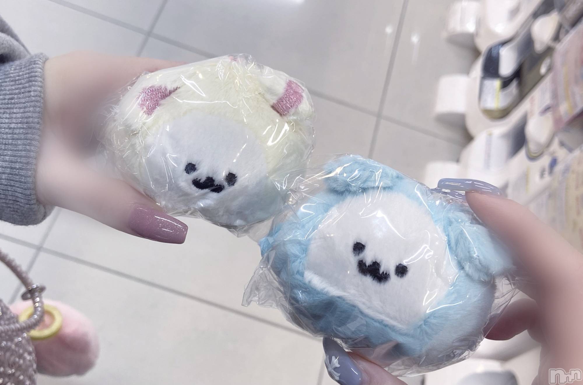 ����������ʥå��������륺�С�Veronica-�������˥�-(�������˥�) ��2026ǯ4��11���̥�֥����֥��ꥮ���