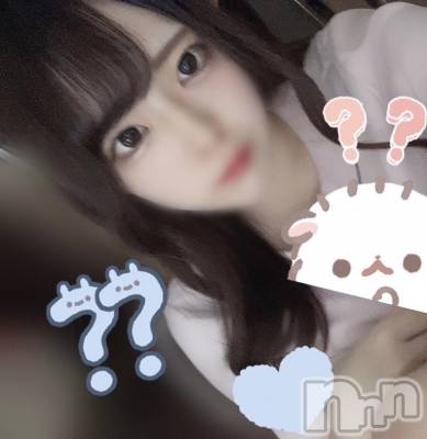ʥå륺СVeronica-˥-(˥) ʤʤ426̥֥0426 𖤐-