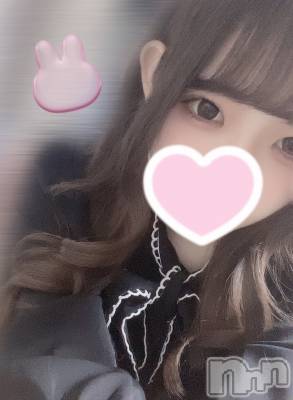 ʥå륺СVeronica-˥-(˥) ʤʤ510̥֥0510 𖤐-
