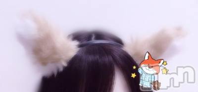 ʥå륺СVeronica-˥-(˥) ʤʤ1016̥֥1015 𖤐-