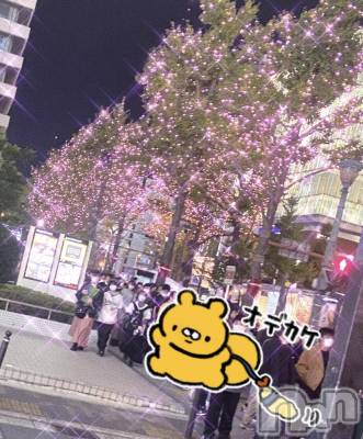 ʥå륺СVeronica-˥-(˥) ʤʤ115̥֥1104 𖤐-