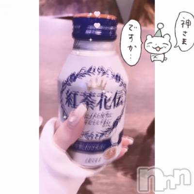 ʥå륺СVeronica-˥-(˥) ʤʤ118̥֥1108 𖤐-