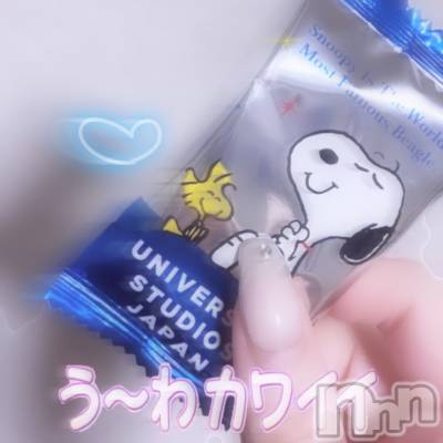 ʥå륺СVeronica-˥-(˥) ʤʤ116̥֥0115 𖤐-