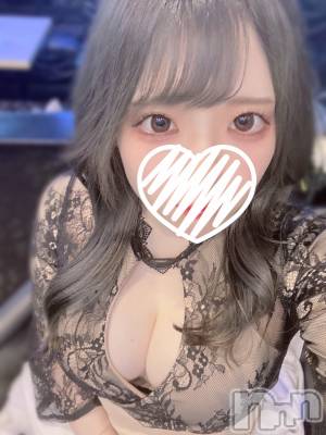 ʥå륺СVeronica-˥-(˥) ʤʤ52̥֥0501 𖤐-