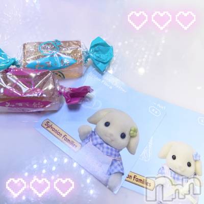 ʥå륺СVeronica-˥-(˥) ʤʤ525̥֥0524 𖤐-