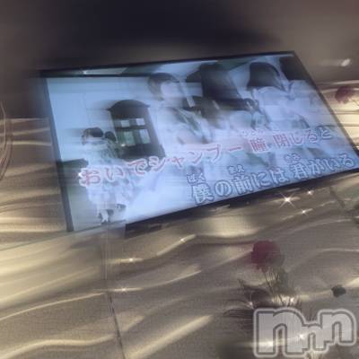 ʥå륺СVeronica-˥-(˥) ʤʤ63̥֥0602 𖤐-