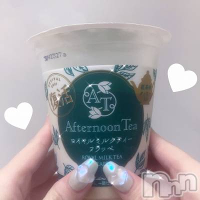 ʥå륺СVeronica-˥-(˥) ʤʤ64̥֥0603 𖤐-