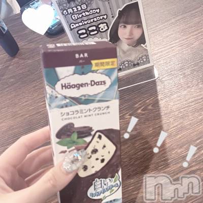 ʥå륺СVeronica-˥-(˥) ʤʤ712̥֥֤Ρ