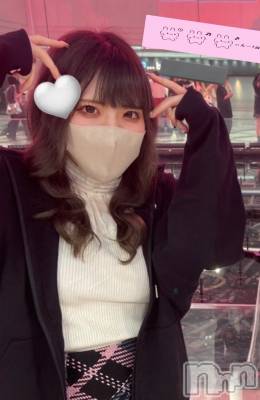 ʥå륺СVeronica-˥-(˥) ʤʤ1020ּ̥֥