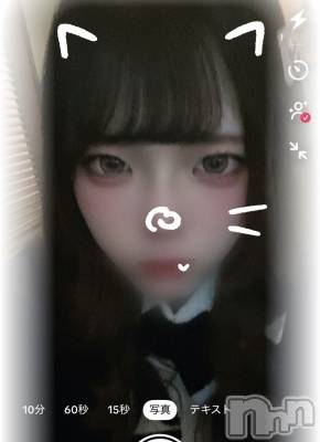 ʥå륺СVeronica-˥-(˥) ʤʤ38̥֥Ԥ