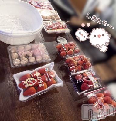 ʥå륺СVeronica-˥-(˥) ʤʤ318̥֥֤ѡƥ🍓