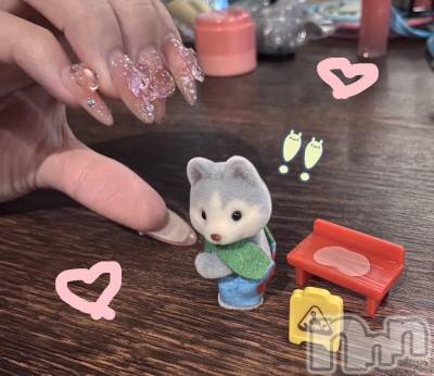 ʥå륺СVeronica-˥-(˥) ʤʤ72̥֥֡ ❤︎
