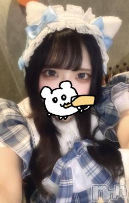 ʥå륺СVeronica-˥-(˥) ʤʤ1031ֹ̥֥ˤʤ롪