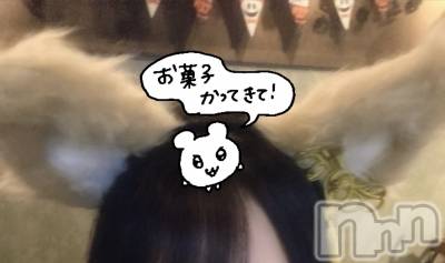 ʥå륺СVeronica-˥-(˥) ʤʤ111̥֥♡₊ 🎀₊✧