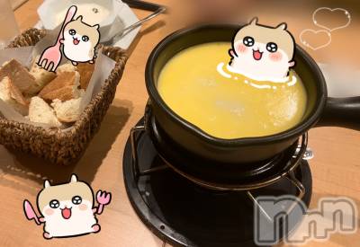 ʥå륺СVeronica-˥-(˥) ʤʤ1124̥֥֤ऺ