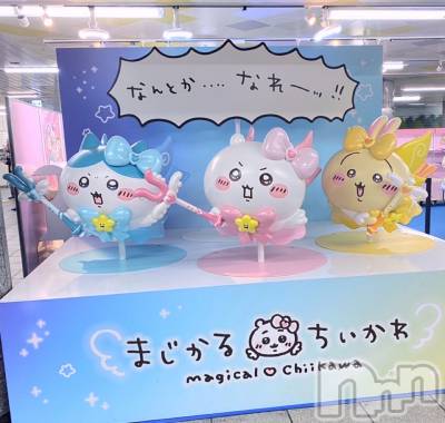 ����������ʥå��������륺�С�Veronica-�������˥�-(�������˥�) �ʤʤ���12��16���̥�֥������󡡶���