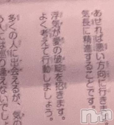 ����������ʥå��������륺�С�Veronica-�������˥�-(�������˥�) �ʤʤ���1��7���̥�֥����֤��餳��