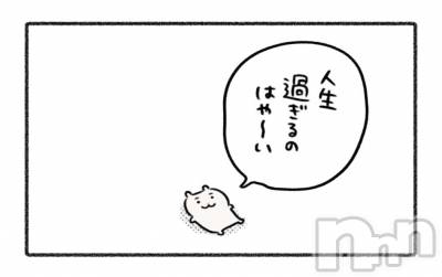 ����������ʥå��������륺�С�Veronica-�������˥�-(�������˥�) �ʤʤ���2��2���̥�֥����֤���