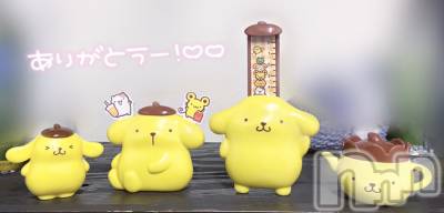 ����������ʥå��������륺�С�Veronica-�������˥�-(�������˥�) �ʤʤ���2��6���̥�֥����֤Ǥ����