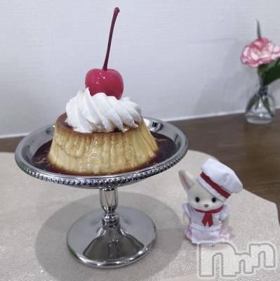 ����������ʥå��������륺�С�Veronica-�������˥�-(�������˥�) �ʤʤ���3��11���̥�֥�����🤍��