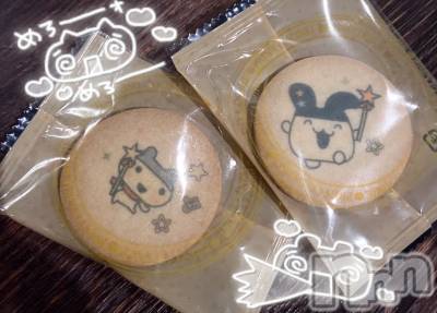 ����������ʥå��������륺�С�Veronica-�������˥�-(�������˥�) �ʤʤ���3��18���̥�֥����֤���魯�����