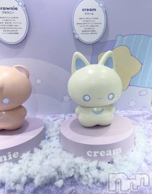 ����������ʥå��������륺�С�Veronica-�������˥�-(�������˥�) �ʤʤ���3��23���̥�֥����֤����餯������