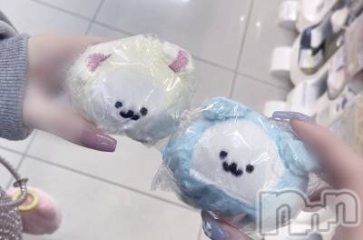 ����������ʥå��������륺�С�Veronica-�������˥�-(�������˥�) �ʤʤ���4��11���̥�֥����֥��ꥮ���