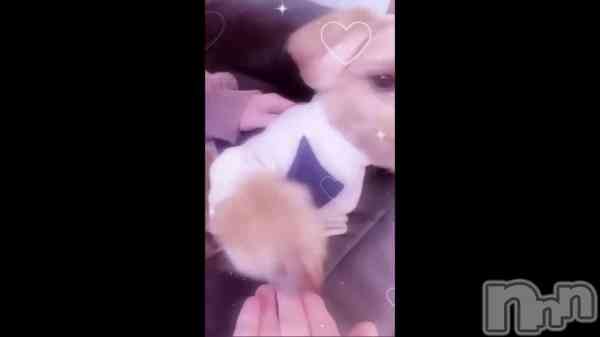 в ( U - &#xB7;&#x32B; - )&#x1F43E;