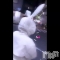 ʥå륺СVeronica-˥-(˥) ʤʤư֤Ϥʷ~~🐇💭