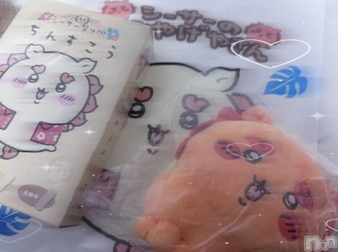 Х顦Lune LYNX(롼󥯥) 2024ǯ1223ִ̥֥򤷤🐱💓
