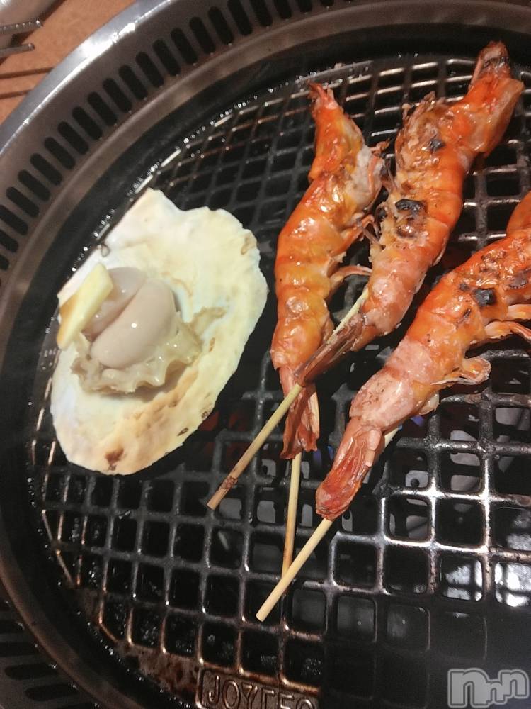 ܱХ顦֥ ץ ( ץ ޥĥ) 115ֿ̥֥🌻