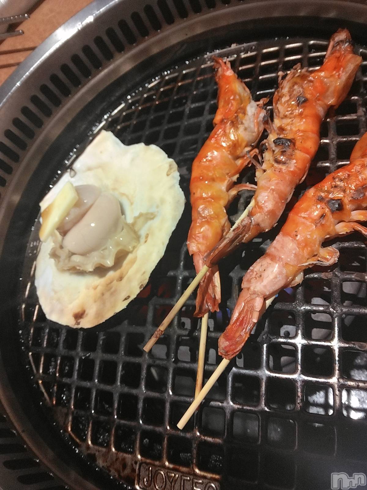 ܱХ顦֥ ץ ( ץ ޥĥ) 2025ǯ115ֿ̥֥🌻